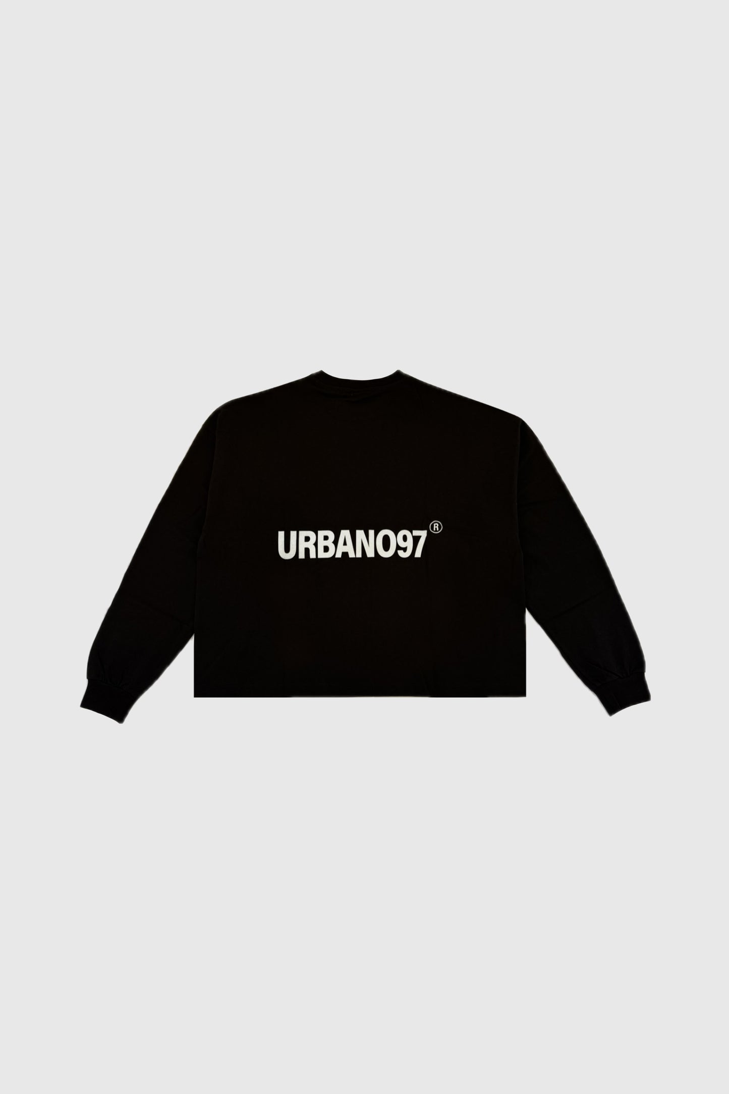 Oversized Boxy LS tee